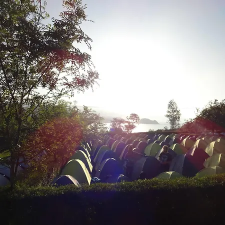 Beachside Surf Camp Hotel Zarautz